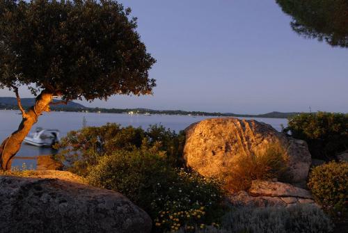 eclairage-jardins-saint-tropez-5