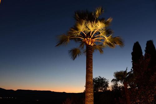 eclairage-jardins-saint-tropez-8