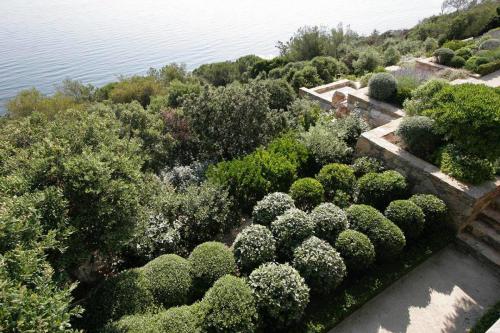 entretien-jardins-saint-tropez-10