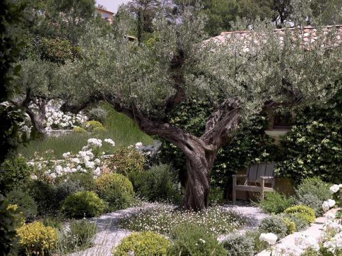 entretien-jardins-saint-tropez-11