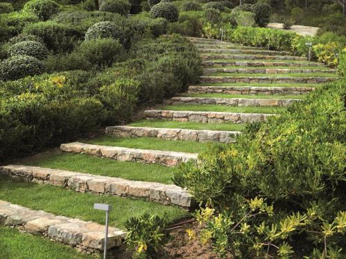 entretien-jardins-saint-tropez-15