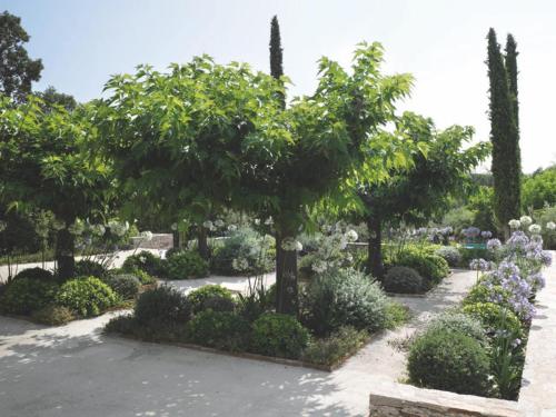 entretien-jardins-saint-tropez-16