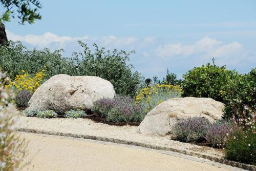 entretien-jardins-saint-tropez-19