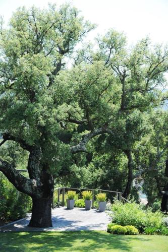 entretien-jardins-saint-tropez-23