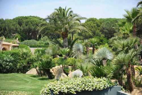 entretien-jardins-saint-tropez-25