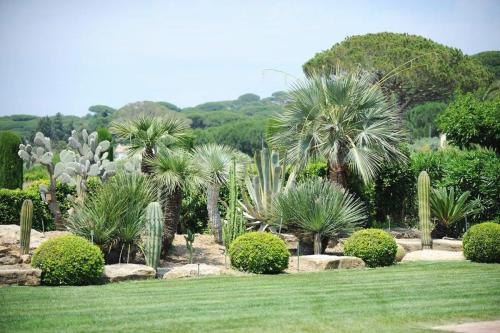 entretien-jardins-saint-tropez-26