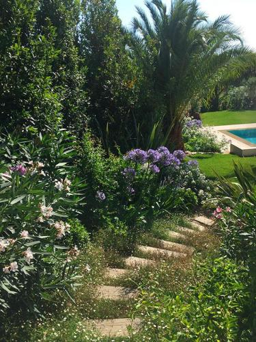 entretien-jardins-saint-tropez-29