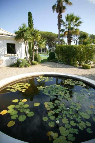 entretien-jardins-saint-tropez-3