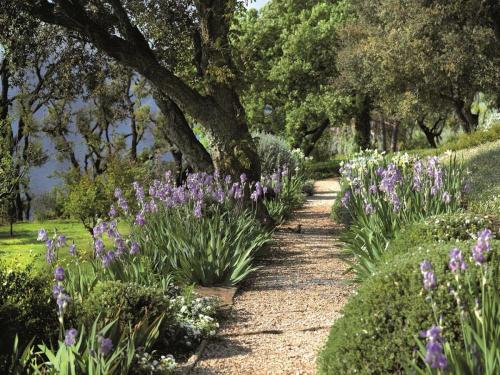 entretien-jardins-saint-tropez-30