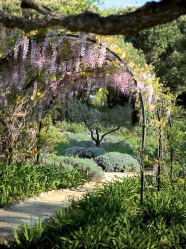 entretien-jardins-saint-tropez-6