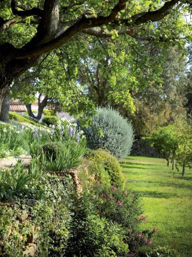 entretien-jardins-saint-tropez-7